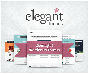 divi theme